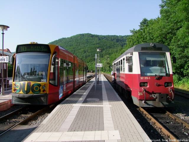 Correspondance sur le même quai entre la rame Combino Duo 202 des Verkehrsbetribe Nordhausen et l’autorail HSB 187 019-5 en gare d’Ilfeld, juillet 2010