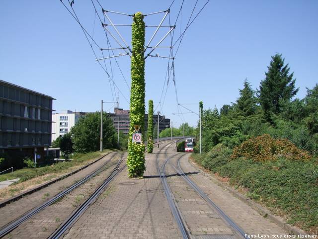 Fribourg-en-Brisgau, bifurcation dénivelée entre les lignes 1 et 3 de la station Runzmattenweg, juillet 2010